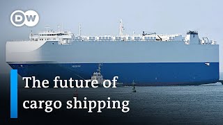 Cargo shipping: Chokepoints, trade routes – and a sign of excessive globalization? | Business Beyond
