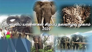 டாப்ஸ்லிப் யானைகள் சிறப்பு நலவாழ்வு முகாம் தொடக்கம் 2020