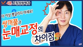 [ENG/눈성형] 4분만에 알려드리는 쌍꺼풀과 눈매교정의 확실한 차이! 👁👁 ✨더 이상 헷갈리지 마세요~🔍  [디오 그림성형백과🎨]