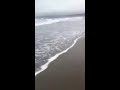 Shark Washes Up on Ocean Beach