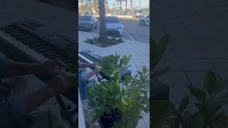 Barry Kite playing piano in front of Aberrant Art Gallery In Daytona Beach Fl. #art  #comedy #funny