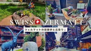 スイス🇨🇭ツェルマットでのんびり街散歩と丘登りの1日🏔️