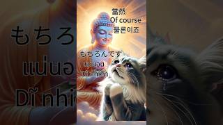 Cat Conversation 貓去世 天堂 ,阿彌陀佛, /Healing Music Buddha/Buddhism Songs/Dharani/Mantra for Buddhist