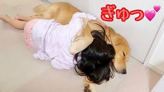 Daughter and dog cuddle and sleep.（Golden retriever）