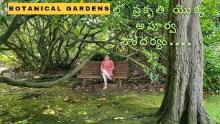 #BotanicalGardens ల్లో ప్రకృతి యొక్క అపూర్వ సౌందర్యం #naturelovers #telugu #nature #garden #travel