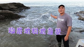 猪血撒满百平潮底坑，抽干后满坑的鱼获让吴哥兴奋不已，太刺激了