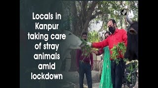 Locals in Kanpur taking care of stray animals amid lockdown