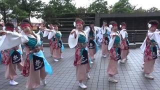 ハマこい2015 ～ 祭・WAIWAIよこはま