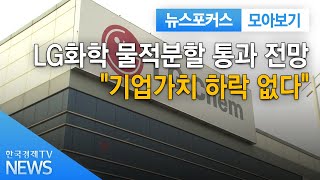 LG화학 물적분할 통과 전망...\