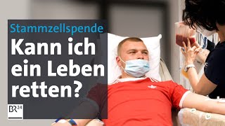 Stammzellenspenden: Die Chance auf ein zweites Leben | Die Story | Kontrovers | BR24