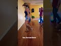 Make It! Beginner Line Dance Tutorial #countrymusic #dancedance #country #linedancing #dance