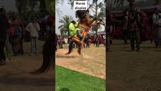 Horse display by Bororo community in Funam Bome #culture # #culturalheritage #preservewhatremains