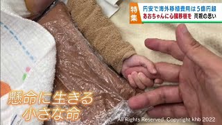 あおちゃんに心臓移植を　円安による費用の高騰で海外移植費用は５億円超