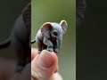 tiny elephant ai made cuteanimal elephant trending shorts