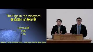 The Figs in the Vineyard / 葡萄園中的無花果