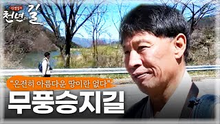 [신정일의 천년의 길] 무풍승지길