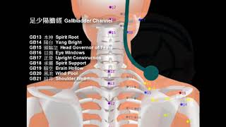 11足少陽膽經 Acupressure meridian 經絡穴道