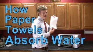 How Paper Towels Absorb Water | A Moment of Science | PBS