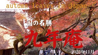 Kunenan Nibisan Shrine Nibisan Jizoin 2023 Autumn leaves