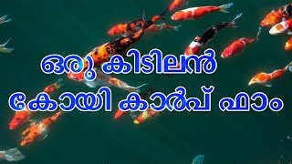 ഒരു കിടിലം കോയി കാർപ്  ഫാം🐠 | Fish Farm | Koi Carp 🐠| AQUATTICCA AQUA FARM |  ATLANTA AQUA FARM |🐠