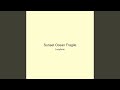 Sunset Ocean Fragile