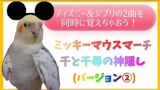 【30分 ミッキーマウスマーチ＆千と千尋の神隠し/いつも何度でも(バージョン②)】whistle✨Cockatiel Training Songs🐤💕口笛練習用にどうぞ🐤💕概要欄見てね☺️