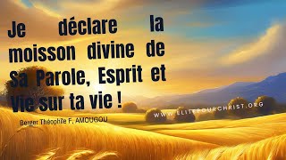 Invocation#832 | Je déclare la moisson divine de Sa Parole, Esprit et Vie sur ta vie ! | 14ᵉ Partie