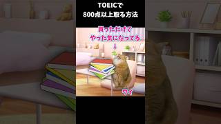 TOEICで800点以上取った方法 #猫ミーム #猫マニ #toeic #toeicスコアアップ #勉強 #勉強法 #トーイック #トイック