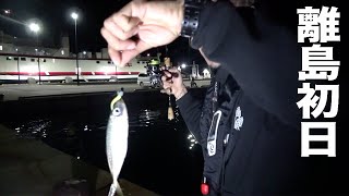 離島にある記録魚が釣れるフェリー乗り場で泳がせ釣り！！