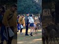 わあ 奈良の鹿に手で餌をあげる初めての楽しい 一日 nara trip nara park 🦌 in japan 🦌📸