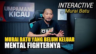 murai batu yang belum keluar mental tarungnya