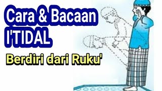 Cara dan Bacaan I'tidal Berdiri Tegak Setelah Ruku' yang Benar | Ceramah Ust Abul Somad, Lc., MA.