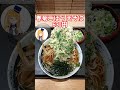 【東急電鉄武蔵小杉駅の座り食いそば屋】しぶそばで春菊ごぼう天そばを食す！【鉄道系vtuberやちよかずさ shorts】