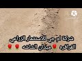 الحظر المائي في الفرافره ،وهل ضاع المشترين للارضي في الوادي الجديد