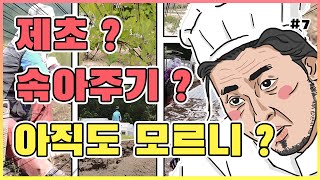 더덕 노지 재배기술 - 제초 및 솎아주기