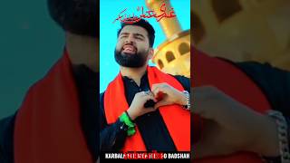KARBALA KARBALA TERE DO BADSHAH ❤️ Mesum Abbas New Manqabat #viralvideo