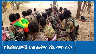 የአሸባሪዎቹ ህወሓትና ሸኔ ጥምረት