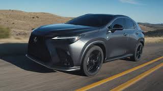 Know Your Lexus | Interface Overview