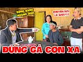 Tía Ơi Đừng Gả Con Xa - Phần 2 | Nhây TV