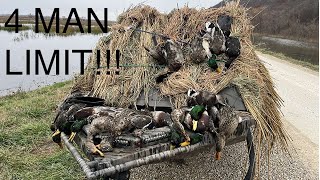 Missouri duck hunt flooded corn 4 man limit!! (Ted Shanks)