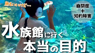 【こだわり】自閉症の息子が水族館へ行きたい本当の理由・・・