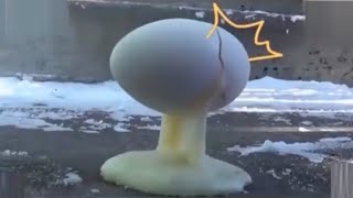 Will eggs freeze in cold weather to form pillars?