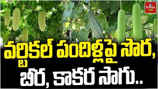 వర్టికల్ పందిళ్లపైసొర, బీర, కాకర సాగు | Organic Farming Tips | hmtv agri