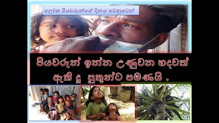 saliya kumara ලෝක පියවරුන්ගේ දිනය