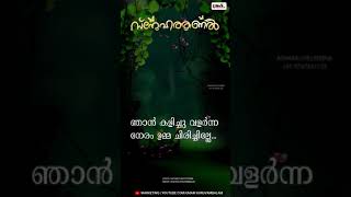 *സ്നേഹത്തണൽ*