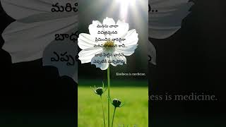 బాధ పెట్టిన వారిని మర్చిపోలేదు #youtubeshorts #goodmorning#enjoymusic #