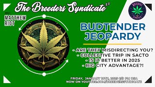 BUDTENDERS \u0026 COLLECTIVES - IS IT BETTER IN 2025? #cookies #sherb #zkittlez #gelato #jeeter #oreoz