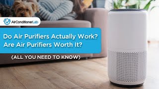 Do Air Purifiers Really Work? (Are They Actually Worth Your Money?)
