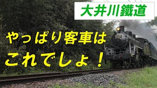 やっぱり客車はこれでしょ！ 客車は茶色や青色がいいなあ～　大井川鉄道　2023年4月　#蒸気機関車 #sl #c10