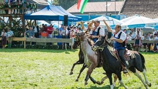 Rottacher Rosstag Rottach-Egern 28. August 2016